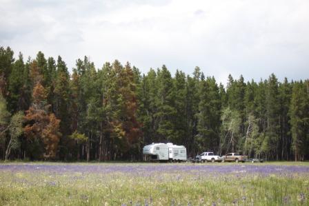 RV Boondocking on the Medicince Bow NF