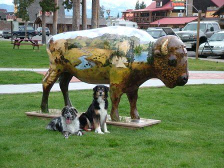 Painted Buffalo in West Yellowstone