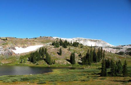 morning near timberline in the snowies