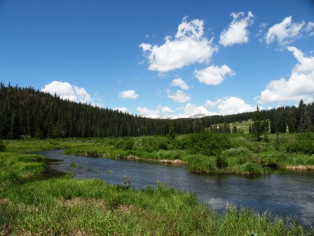 Meadow along Nash Creek in the Snowy Range Wyoming